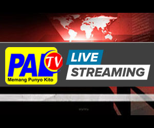 Streaming PALTV