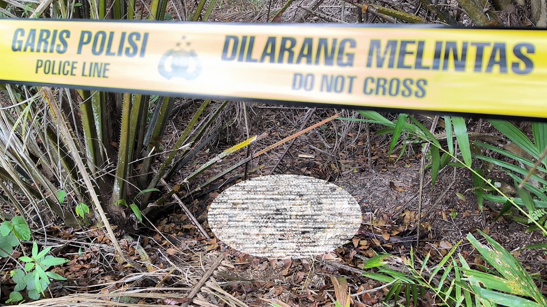 Polisi Temukan Jenazah Christina di Antara Pohon Sawit di Banyuasin 