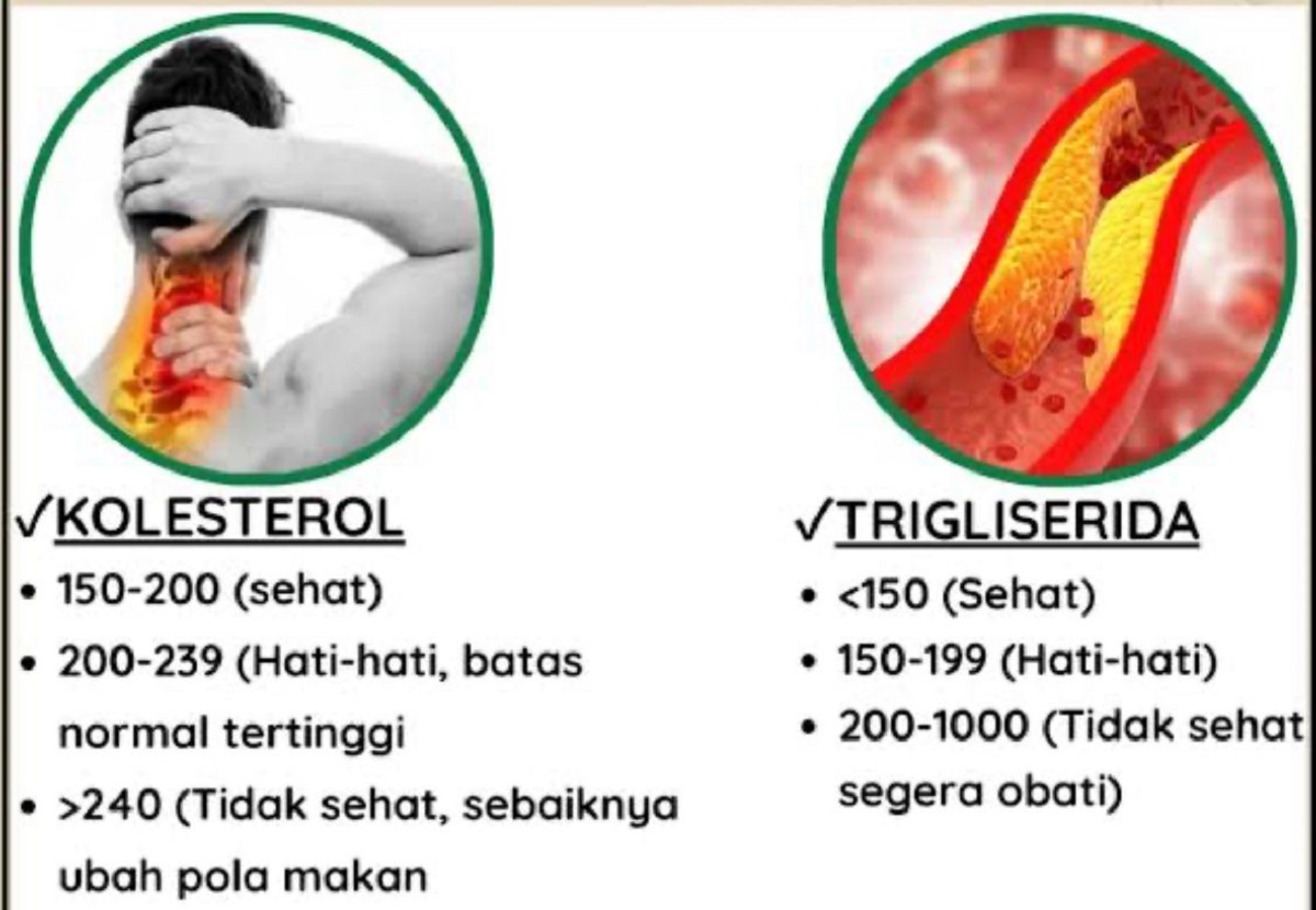 Mirip Dengan Kolestrol, Tapi Lebih Berbahaya, Inilah Penyakit Trigliserida Yang Harus Kamu Ketahui!