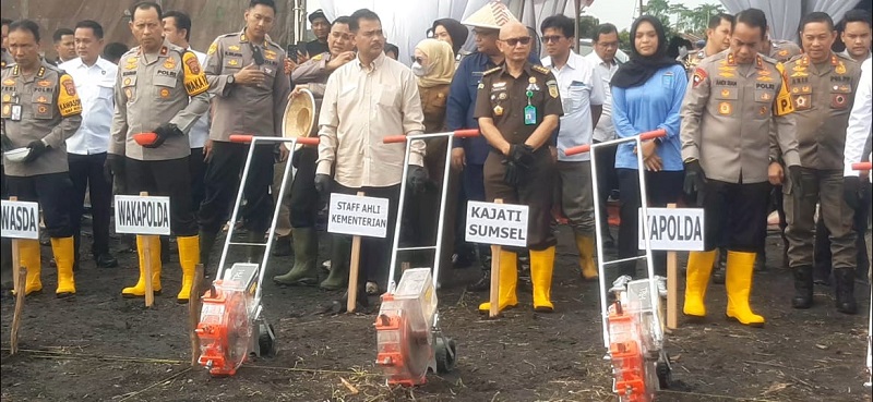 Penanaman Jagung Serentak 1 Juta Hektar Mendukung Ketahanan Pangan 2025