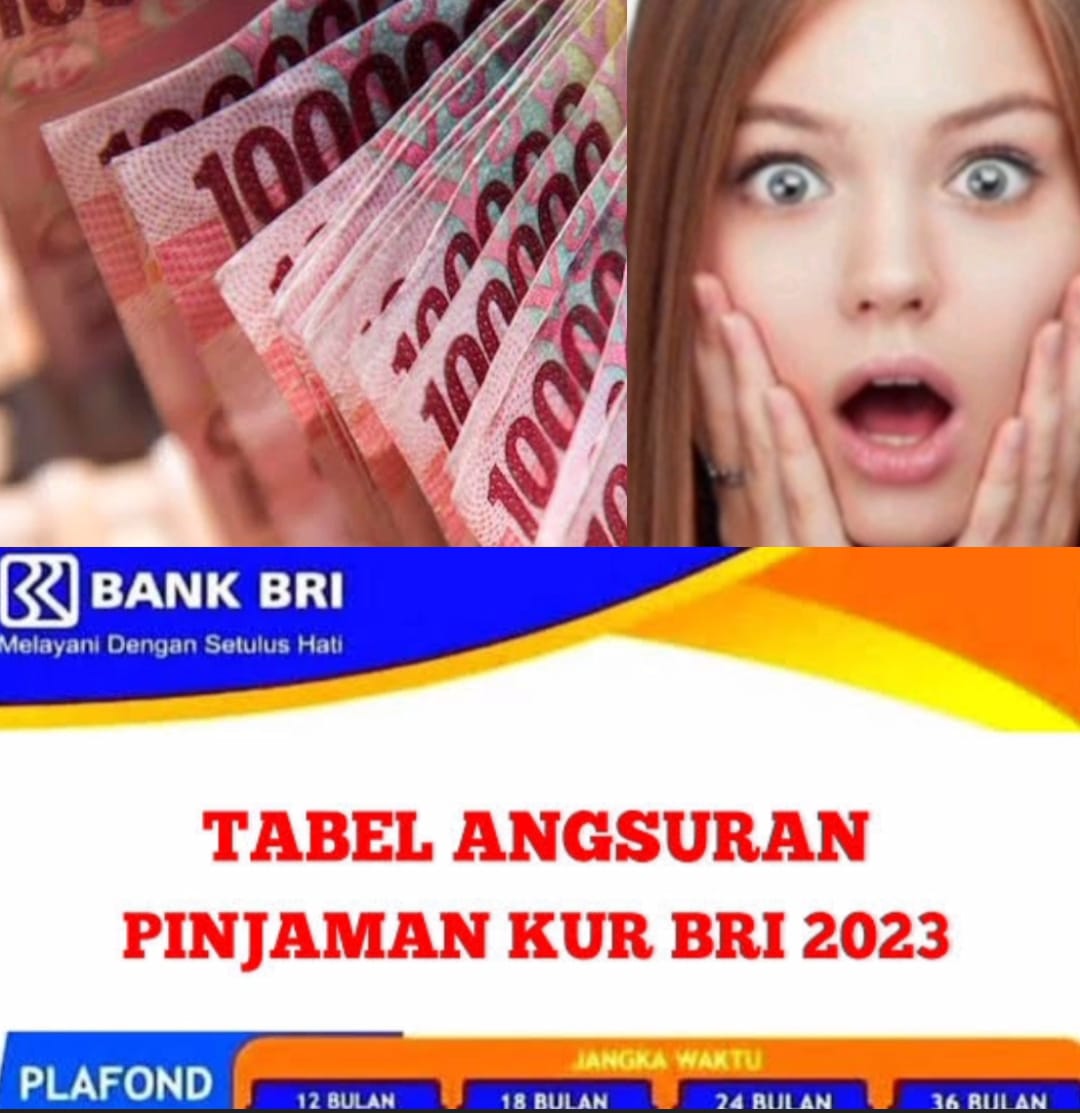 Layanan Pinjaman KUR BRI 2023 Rp35 Juta, Cicilan Hanya 700 Ribuan Bunga  Cuma 0,5 Persen per Bulan