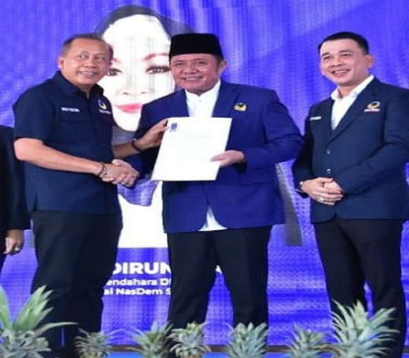 Ali Subri Nakhodai Nasdem Palembang, Gantikan Fitrianti Agustinda
