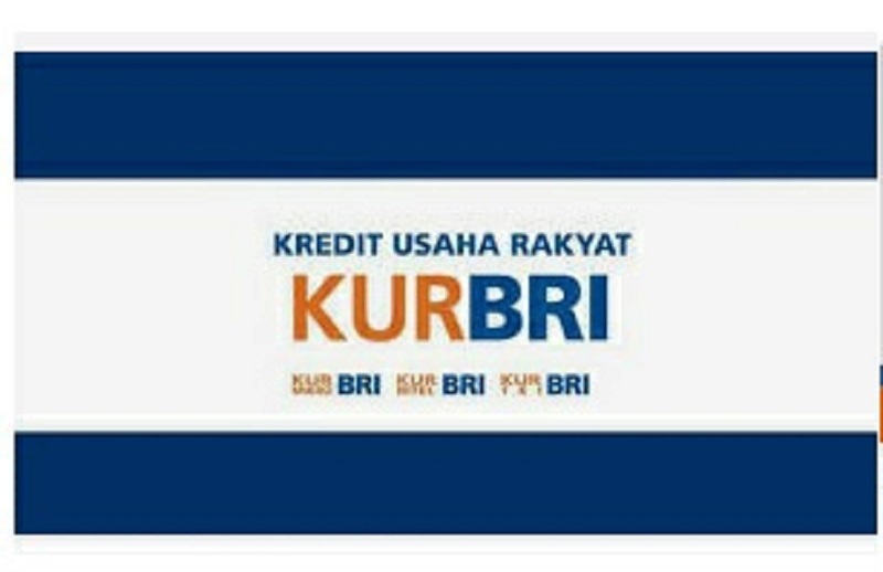 Ingin KUR Cair? Simak Panduan Lengkap Ajukan Pinjaman di Bank BRI!