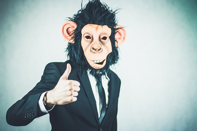 Kupas Tuntas Konsep ‘Monkey Business’ dalam Dunia Bisnis