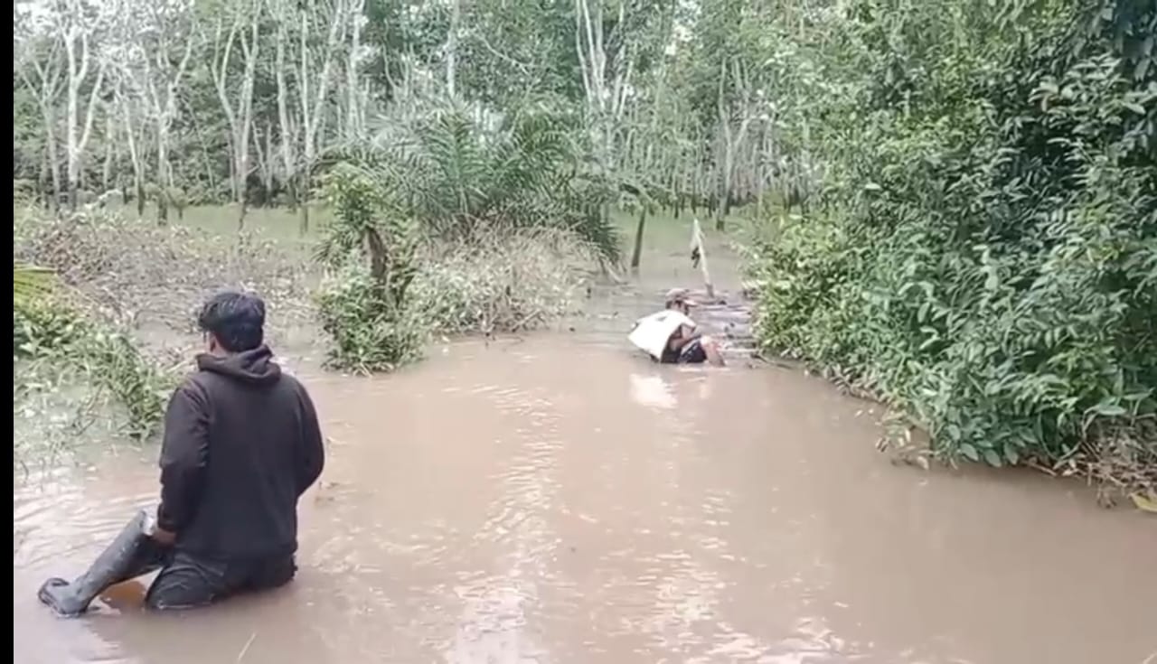 Kebun Warga Gunung Megang Terkena Banjir Karena Limbah PT RMK 