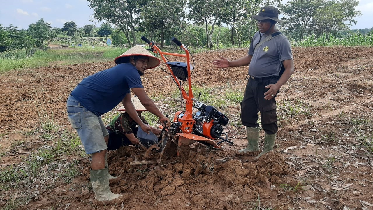 Latih Petani Kuasai Traktor Mini Demi Ketahanan Pangan