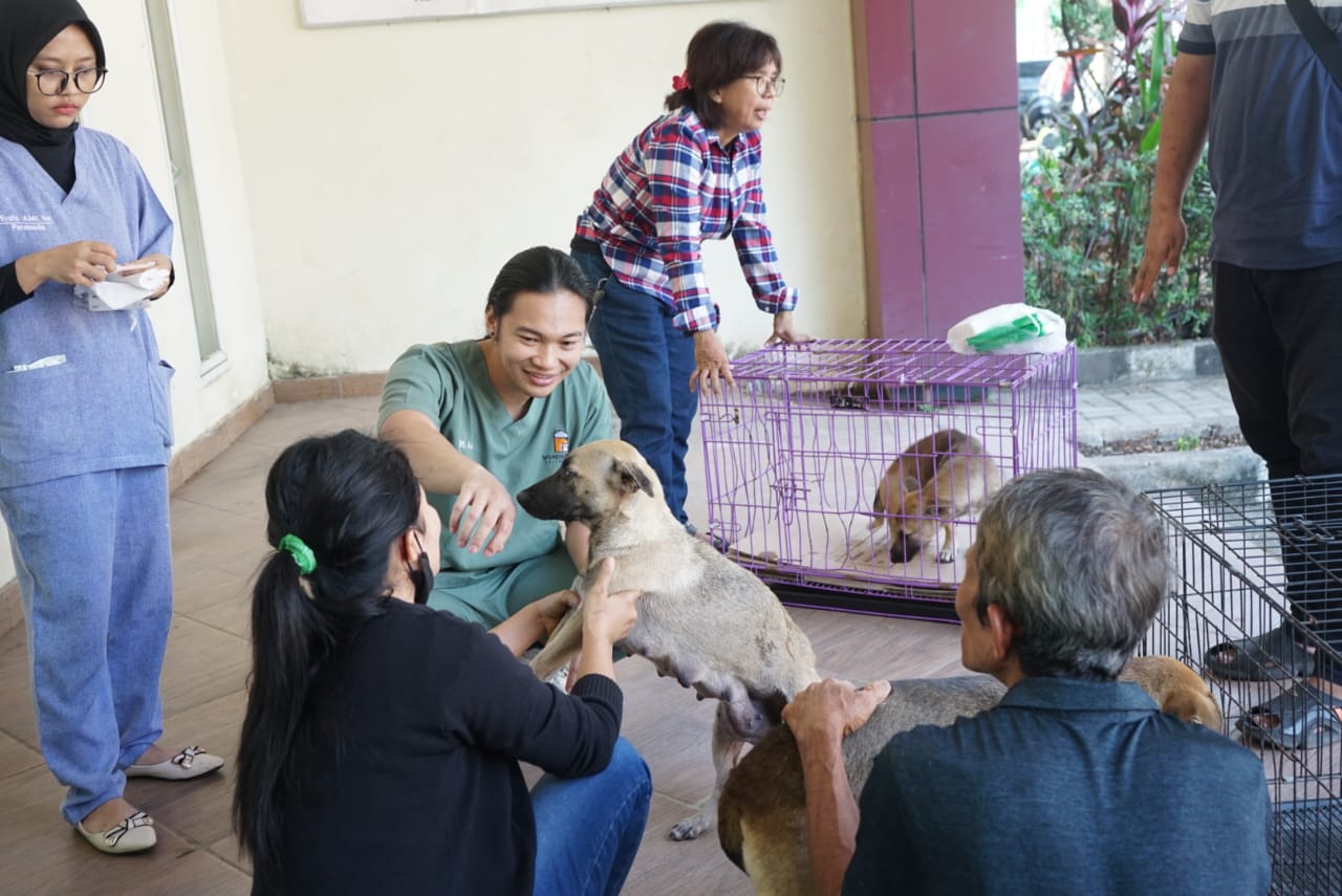 Berantas Rabies Di Sumsel, 19 Ribu Vaksin Disiapkan