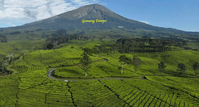 Nikmati Keindahan Gunung Dempo, Wisata Alam Sehat di Pagaralam