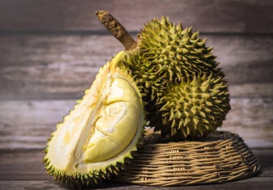 Budidaya Durian dan Perawatan yang Optimal untuk Hasil yang Melimpah