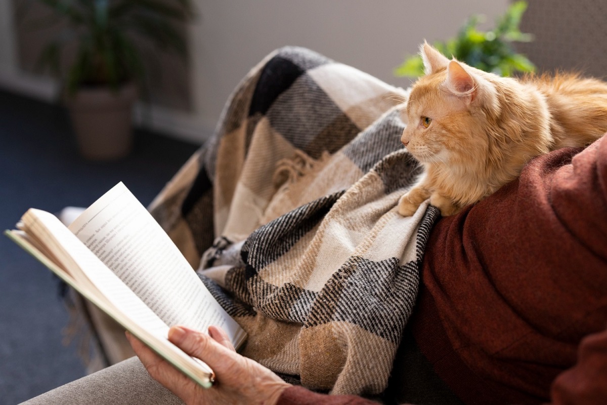 Rahasia Kucing Penjaga Buku, Bagaimana Mereka Mengubah Dunia Literasi?