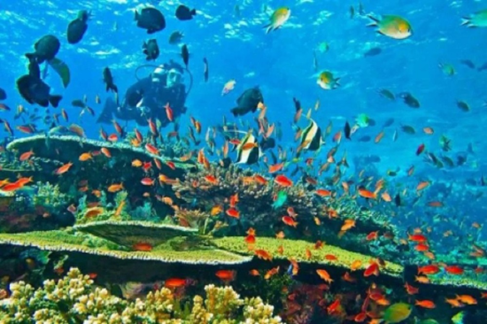 Museum Bawah Laut Biak, Saksi Sejarah PD II