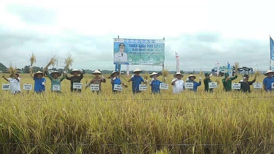Plt Bupati Muara Enim Bersyukur Panen Raya di Desa Tanjung Jati Hasilkan Ribuan Ton Padi