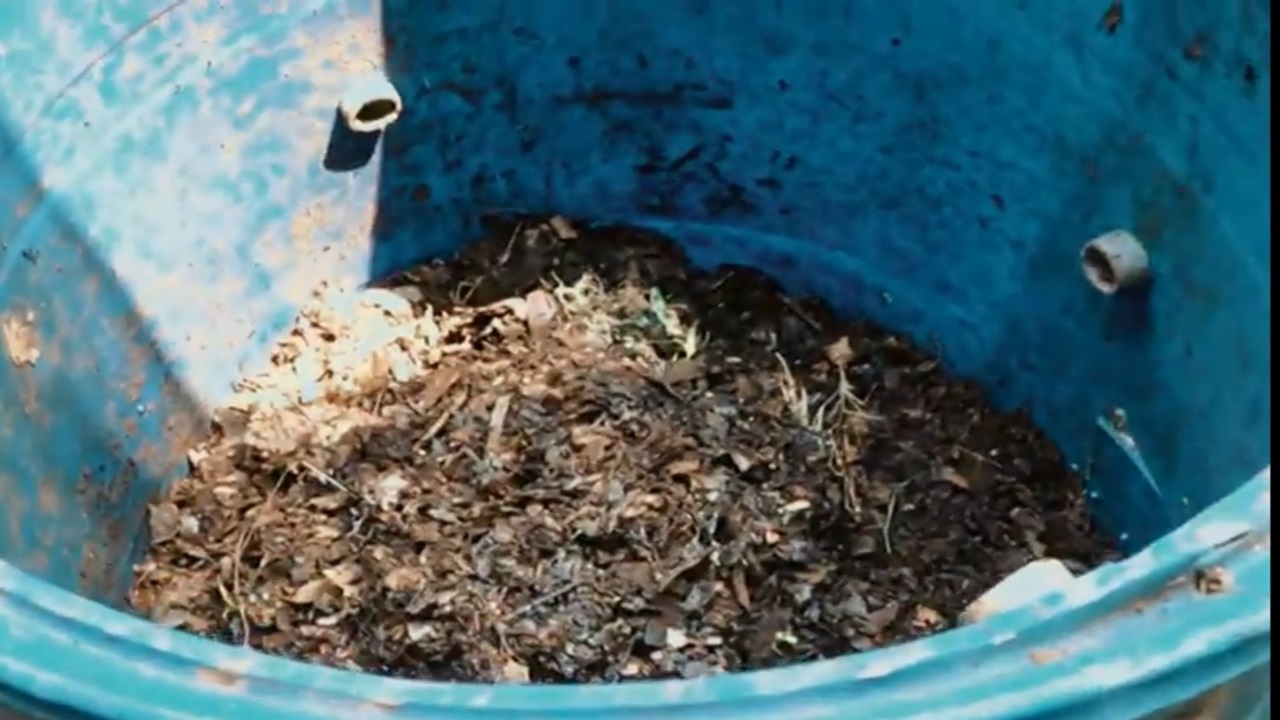 Sampah Rumah Tangga Harusnya Dikelola Jadi Kompos, Lebih Berguna!
