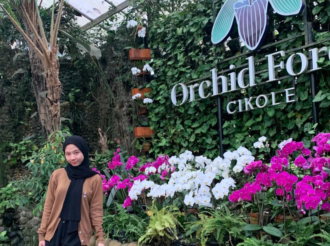 Petualangan di Orchid Forest Cikole & Ragam Aktivitasnya yang Mengasyikkan