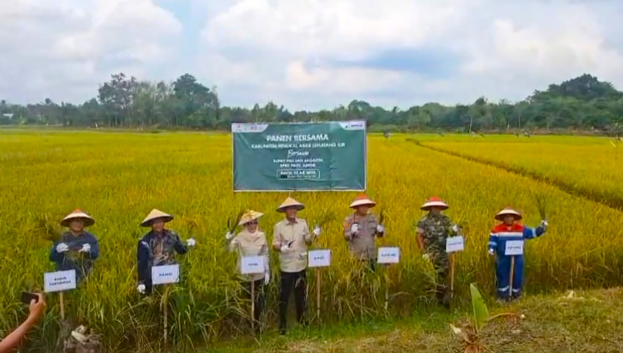 Pemkab PALI Panen Raya Wujudkan Swasembada dan Ketahanan Pangan