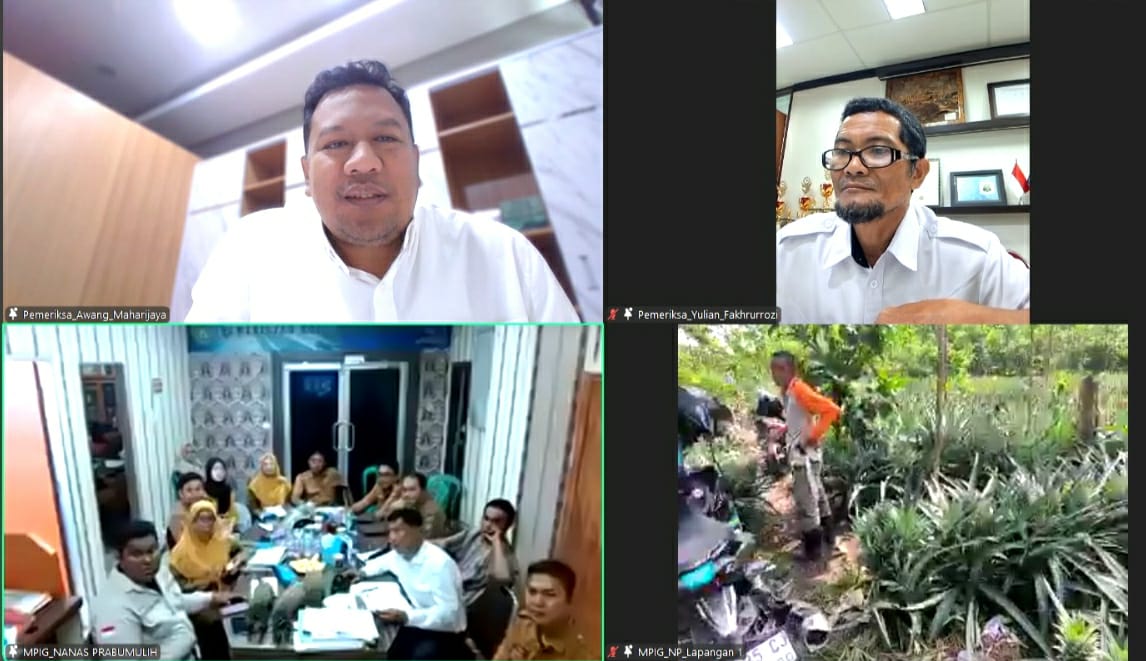 Menjaga Cita Rasa Lokal: Nanas Prabumulih Diuji Tim Ahli Indikasi Geografis