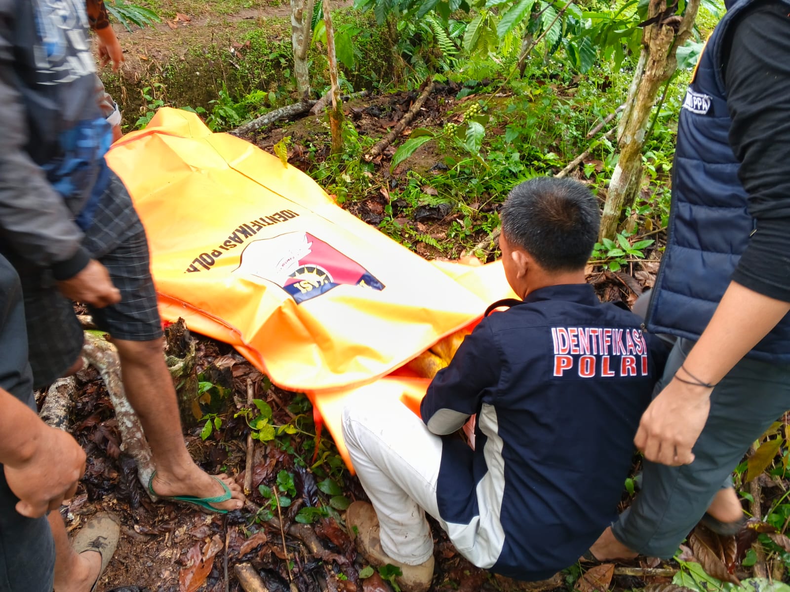 Dipergoki Curi Kopi, Pria di OKU Selatan Tewas Dihajar Warga