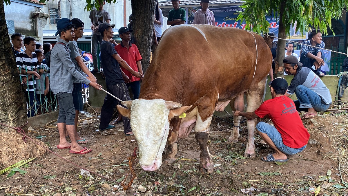 Masjid Dharma Wanita Baiturrahman Palembang Bagikan Daging Kurban Presiden Prabowo