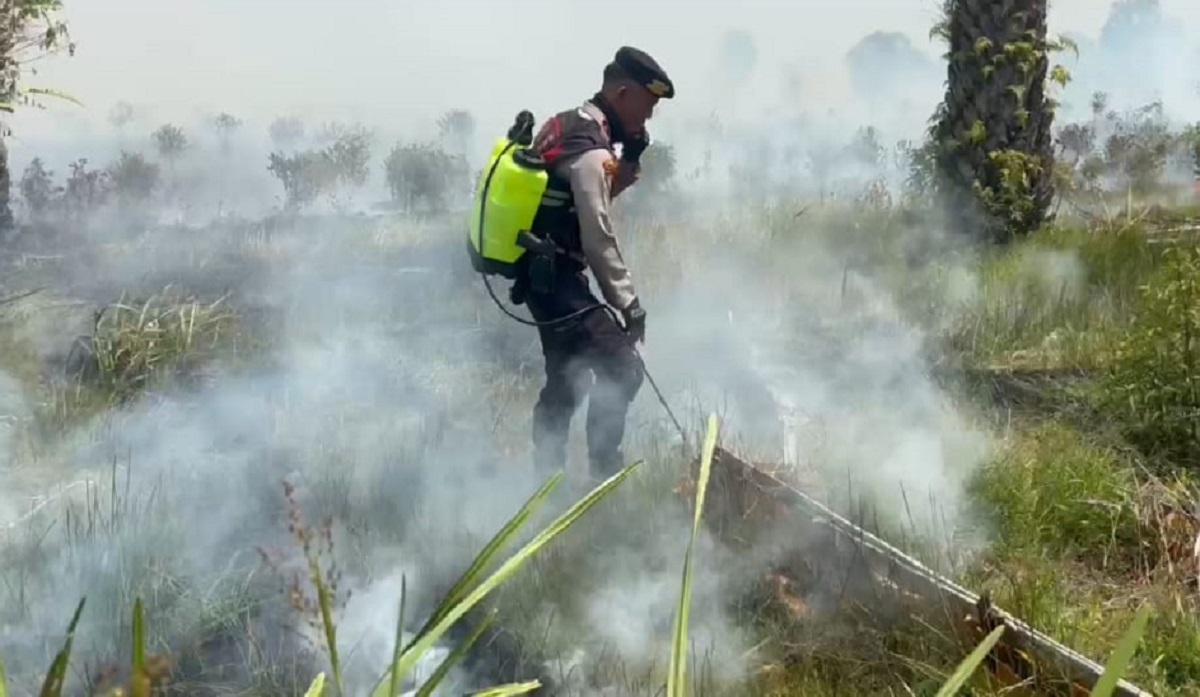 Lagi, Karhutla Landa Indralaya Utara: 5 Hektar Lahan Gambut Terbakar di Parit dan Sungai Rambutan