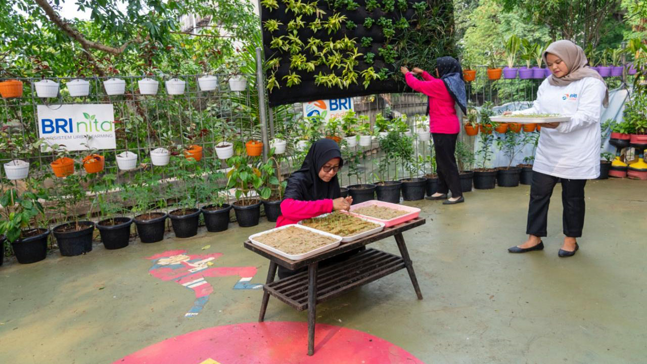 Peran Nyata BRI Dorong Urban Farming dan Pemberdayaan Perempuan Raih Pengakuan