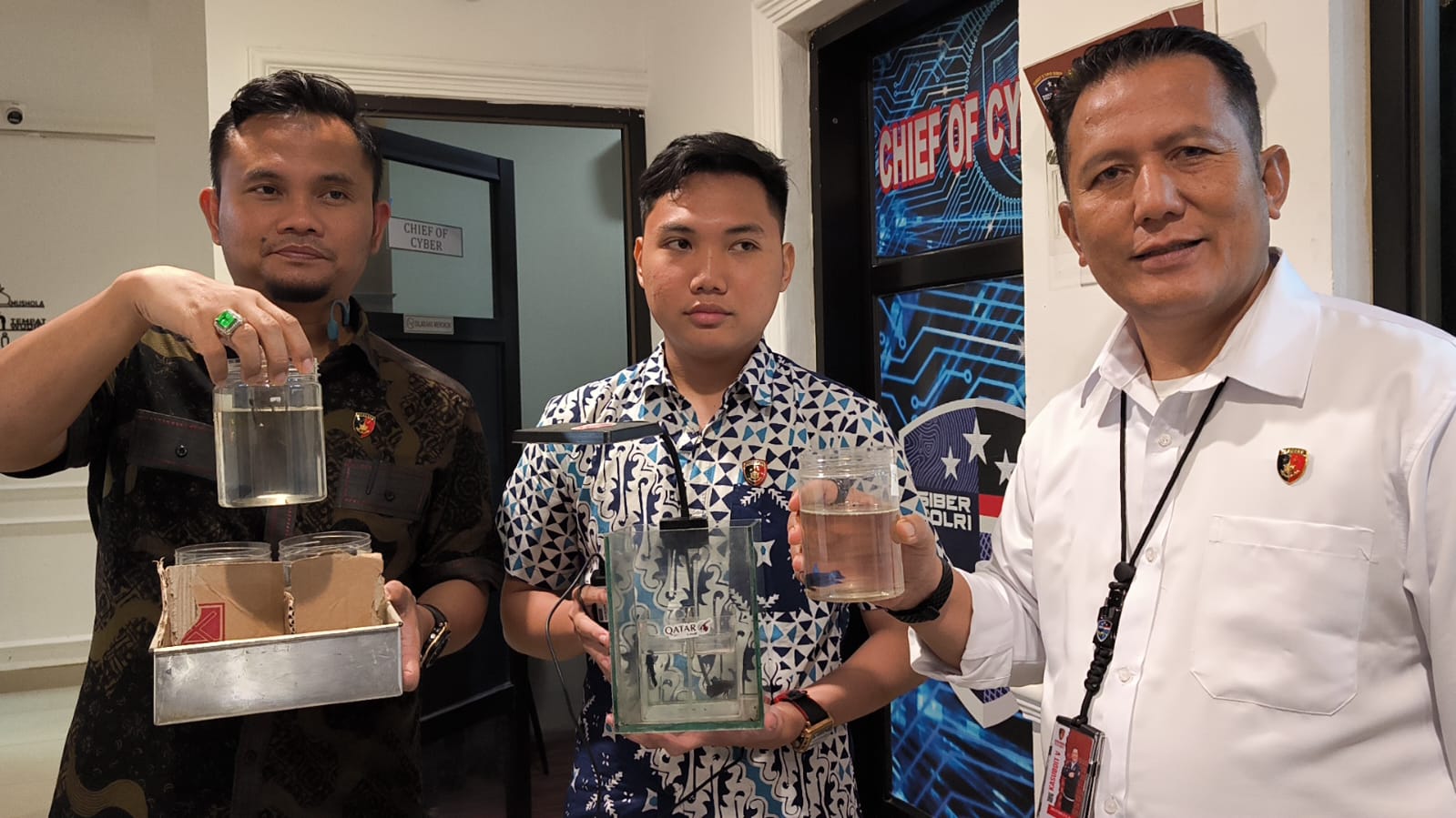 Live Adu Ikan Cupang Berujung Penangkapan, Pasutri Asal Prabumulih Raup Puluhan Juta Rupiah