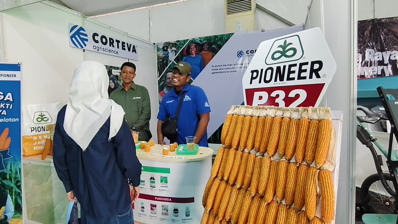 Varietas Jagung Pioneer P32 Jadi Sorotan di GPTPN ke-X Sumsel, Ini Keunggulannya !!