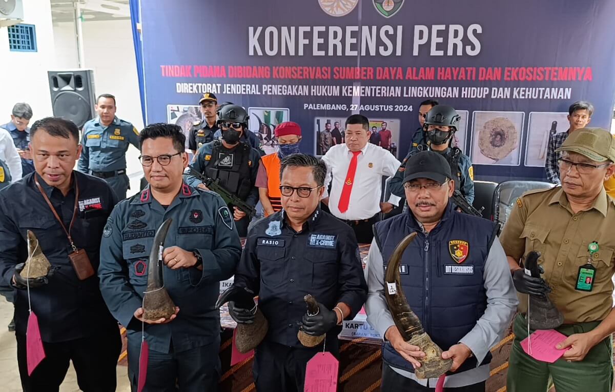 KLHK dan Polda Sumsel Berhasil Ungkap Perdagangan Cula Badak dan Pipa Gading Gajah Bernilai Miliaran Rupiah