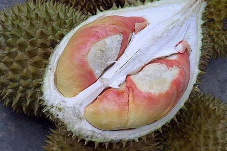 Ini Durian Indonesia yang Tak Kalah dengan Moutong