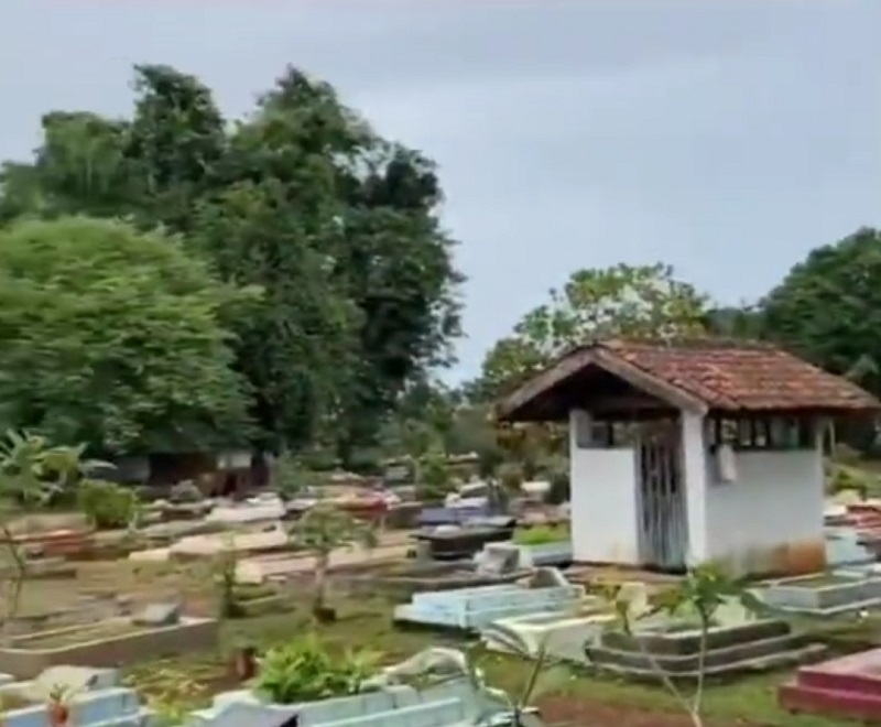 Bunga Kamboja di Pemakaman : Simbol Penghormatan Bagi Penghuni Kuburan
