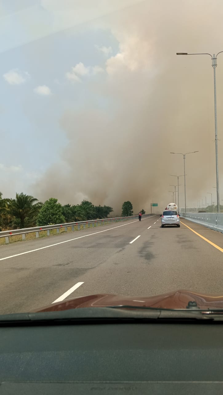 Asap Tebal Kebakaran Lahan Menyelimuti Jalan Tol Palindera  