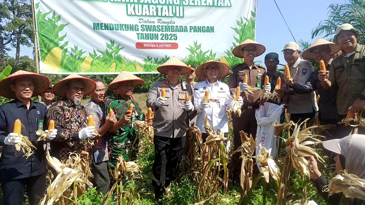 Panen Raya Jagung Serentak Komitmen Polres OKU Dukung Swasembada Pangan Nasional