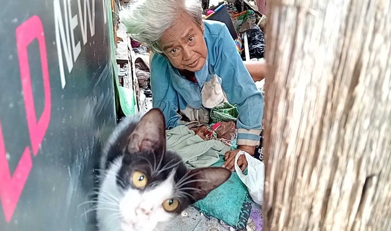 Ironinya!! Nyai Nikmah Hidup Sebatang Kara Tinggal di Rumah Roboh Persis Belakang Kantor Lurah 