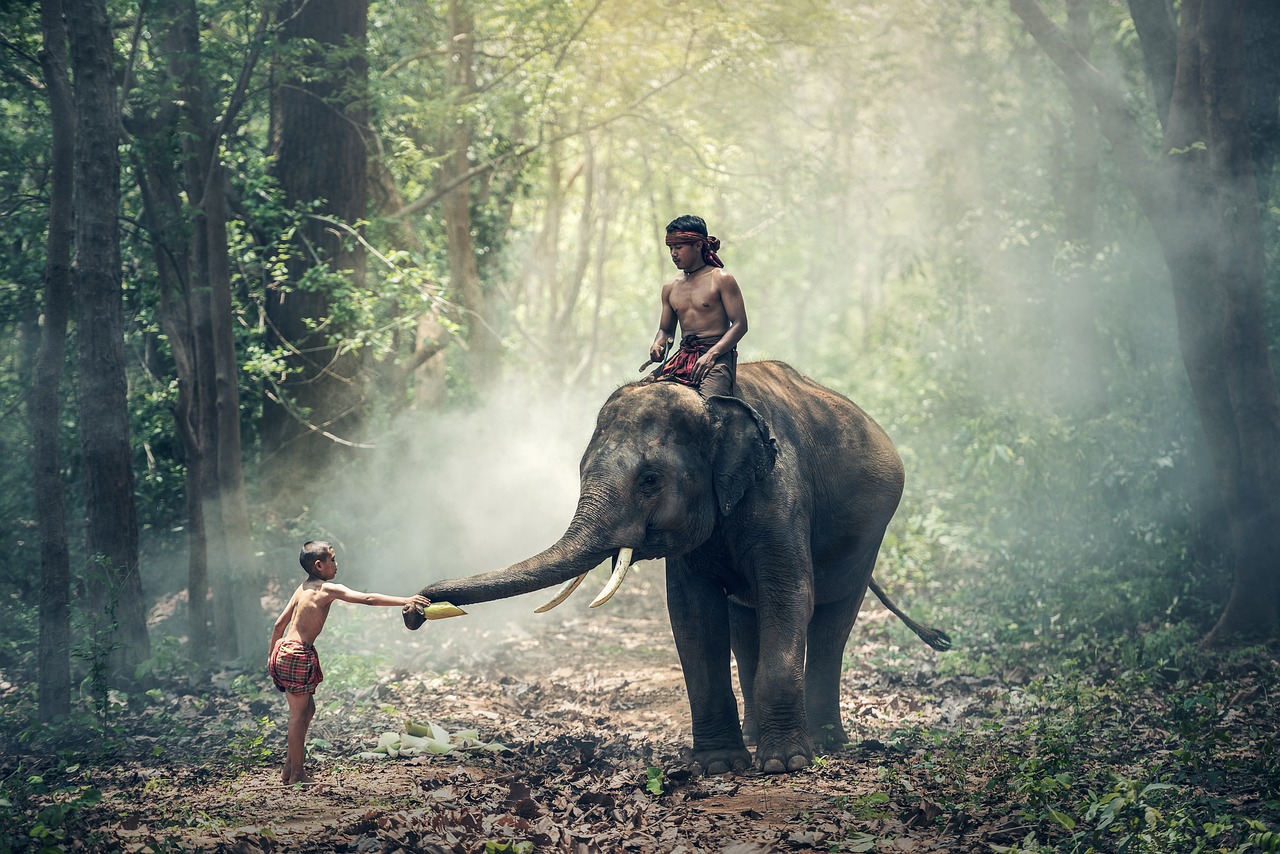 Jarang Diketahui, Ternyata Gajah Berperan Penting dalam Menjaga Keseimbangan Ekosistem Bumi