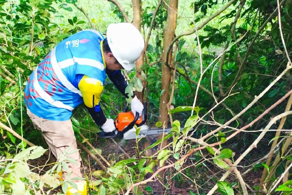 Wujudkan Listrik Andal untuk Masyarakat, PLN UP3 Ogan Ilir Laksanakan Pemeliharaan Jaringan