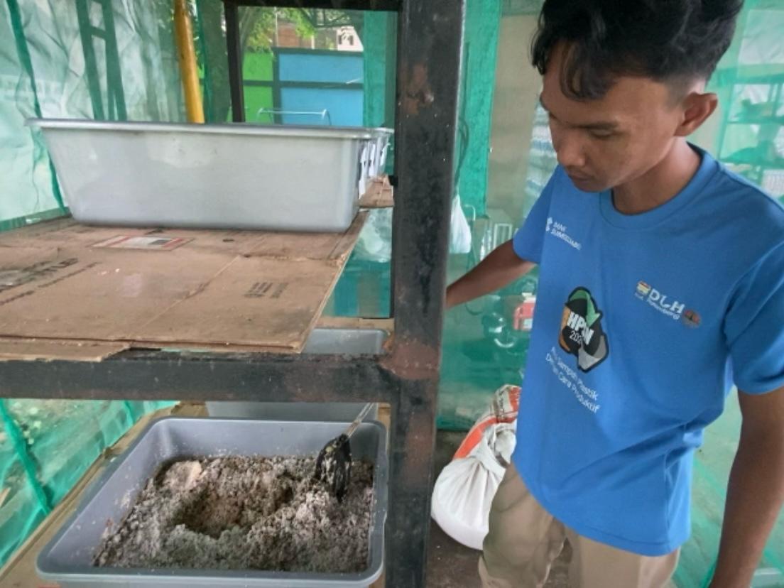 Solusi Cerdas Masalah Sampah, Budidaya Maggot yang Menguntungkan!