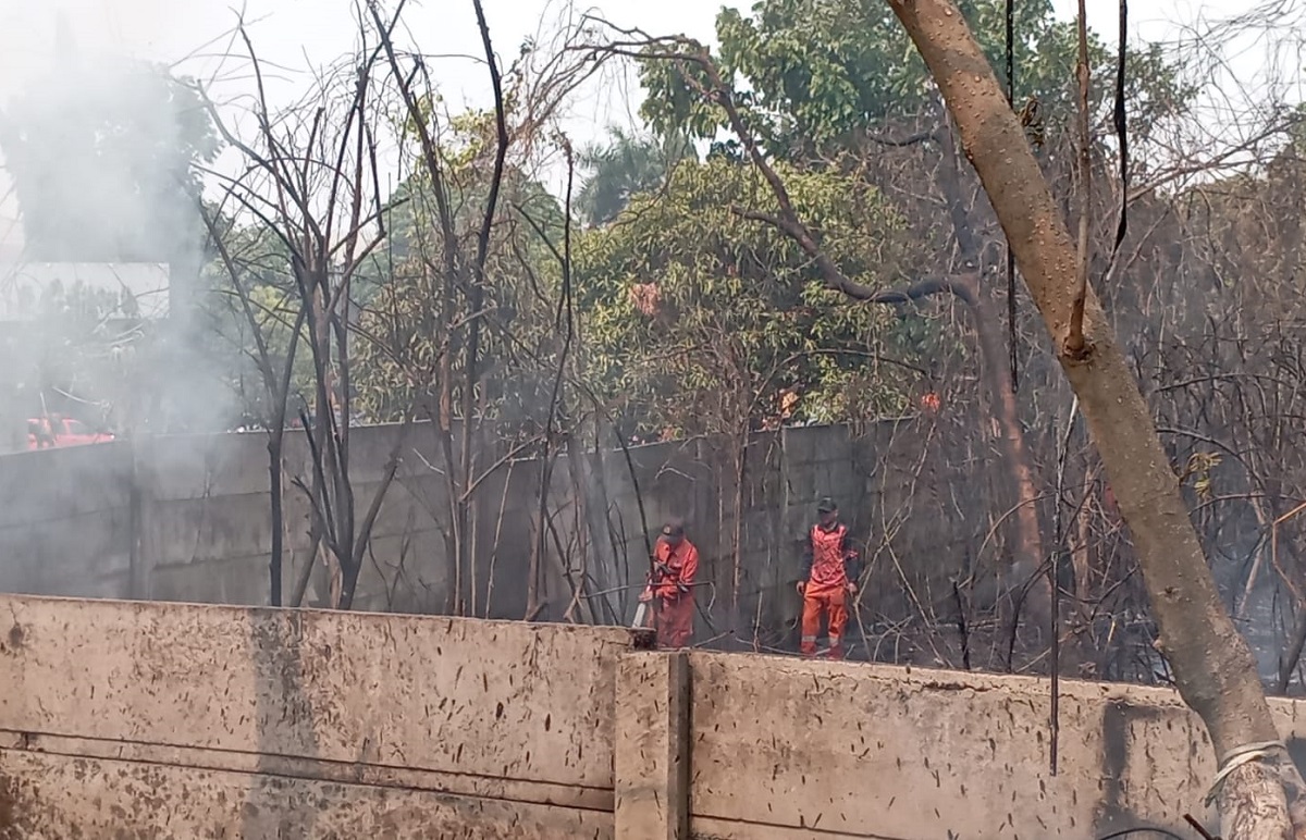 Lahan Kosong Seluas Setengah Hektare Milik Thamrin Terbakar, 1 Unit Mobil Damkar Bergerak Padamkan Api