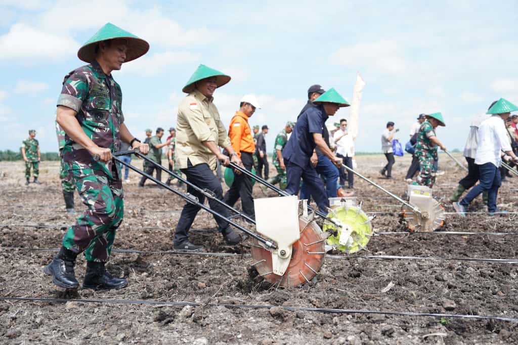 Pangdam Canangkan Penanaman Padi Gogo Guna Mendukung Ketahanan Pangan