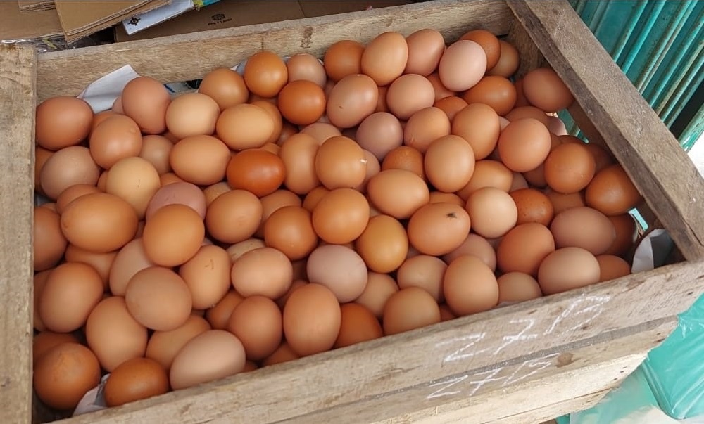 Pedagang di Pasar Sukajadi Banyuasin Prediksi Harga Telur Ayam Merangkak Naik Jelang Natal dan Tahun Baru