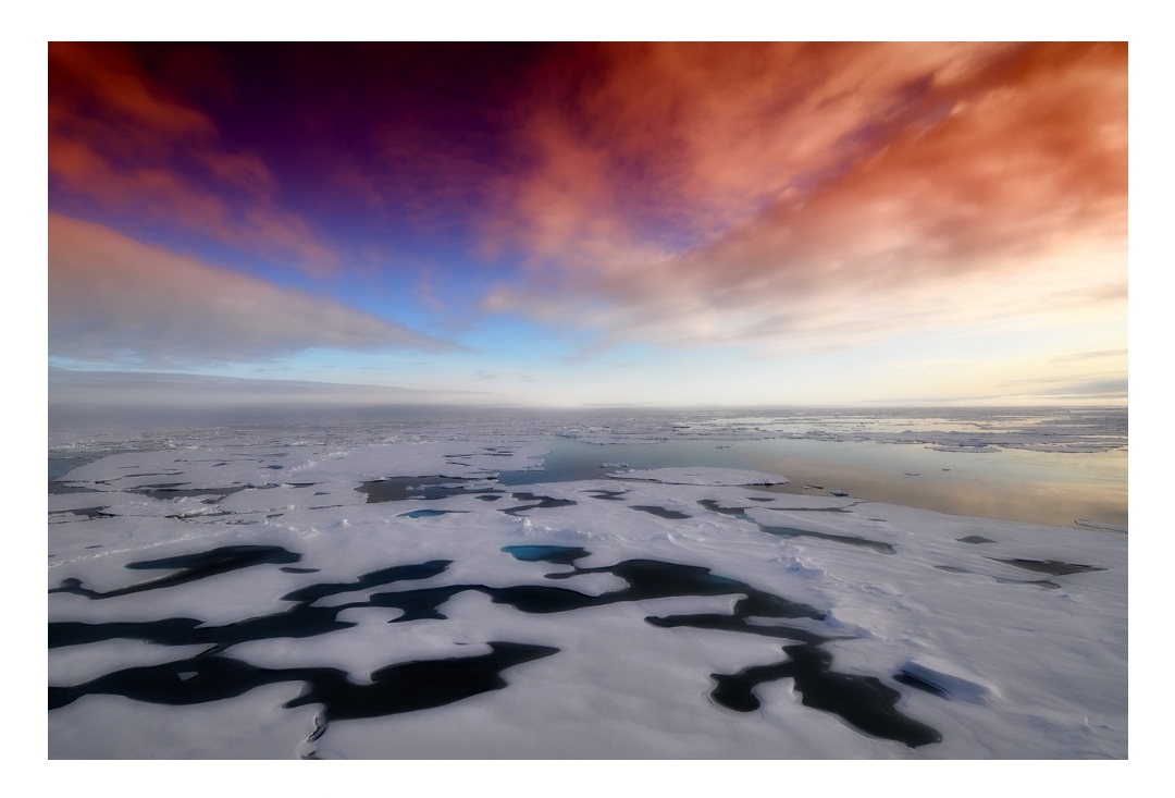5 Dampak Buruk Jika Lapisan Es di Antartika Mencair, Nomor 5 sangat Mengerikan