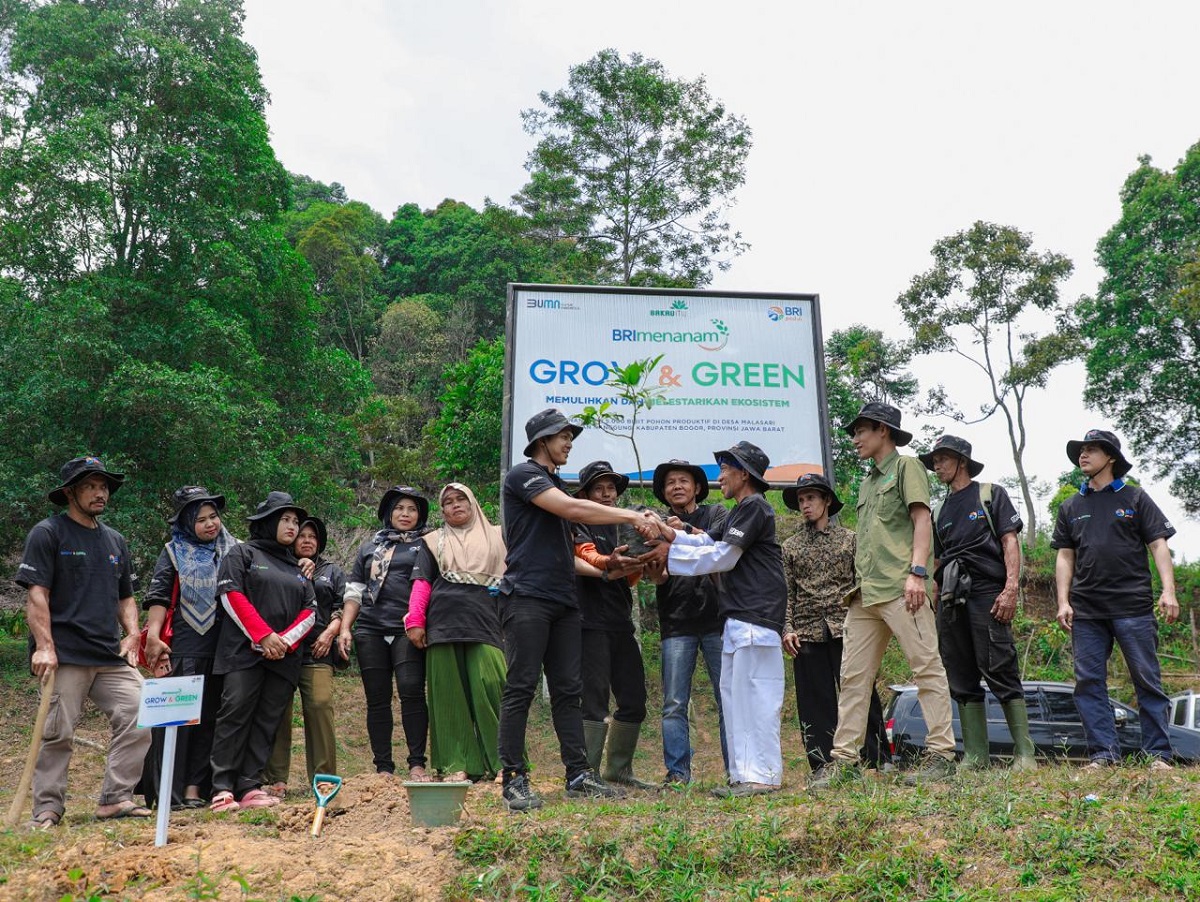 Kolaborasi Hijau, BRI Menanam dan Kelompok Tani Wujudkan Masa Depan Lebih Bersih! 