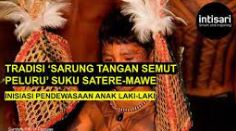Mengenal Ritual Kedewasaan Suku Satere-mawe: Tradisi Sarung Tangan Semut Peluru