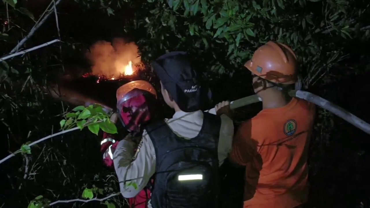 Sumsel Siap Tanggani Karhutla di Puncak Musim Kemarau