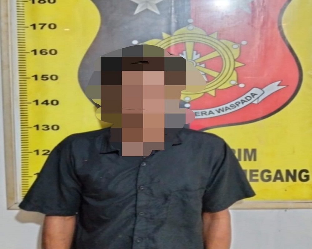 Akhir Pelarian di Kebun Sawit: Buron Pencurian TBS Dibekuk Saat Fajar Menyingsing