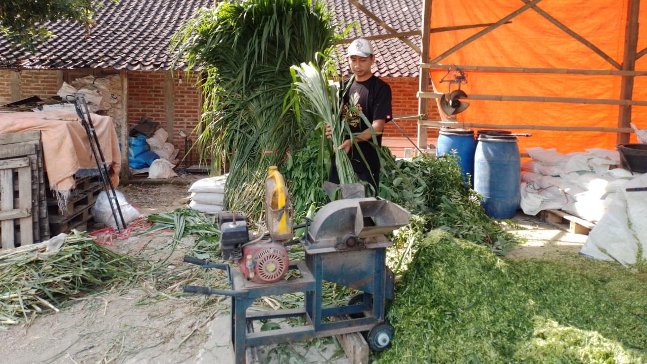 KUR BRI Bisa Bikin Usaha Berkembang, Terbukti pada Kisah Pengusaha Pakan Ternak dari Ponorogo