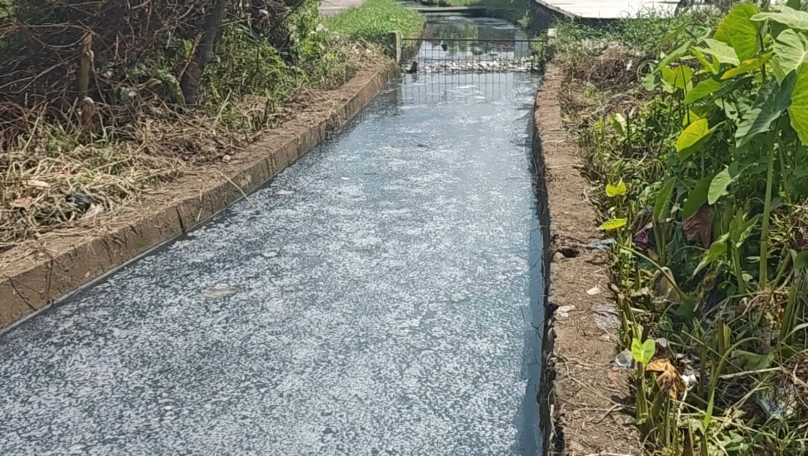 Tidak Perbaiki Instlasi Limbah, 29 Usaha Tahu Terancam Disegel