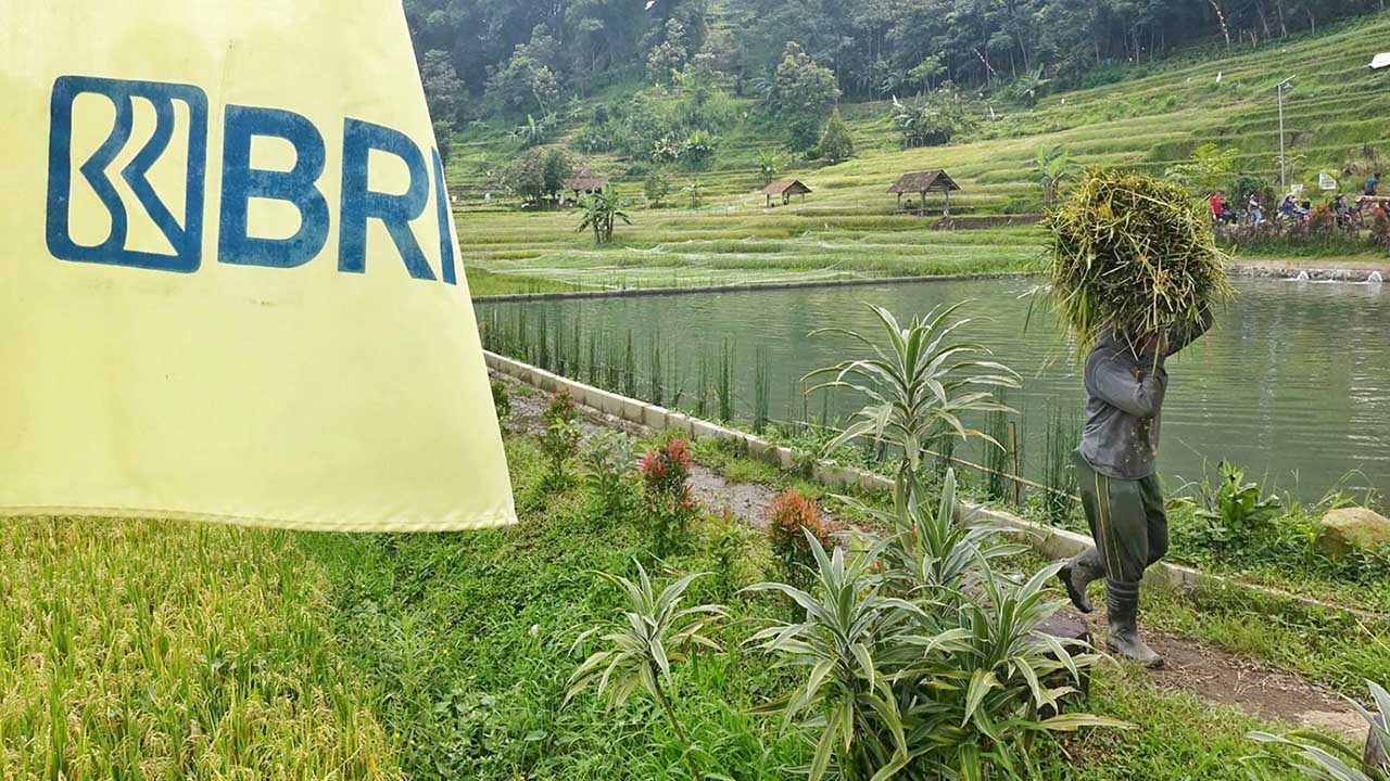 BRI Salurkan KUR Rp83,38 Triliun Sokong Pertanian Jadi Motor Utama