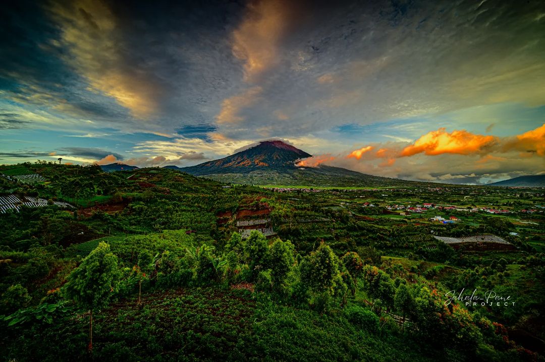 Kebun Teh Kayu Aro: Keindahan dan Kearifan di Lereng Gunung Kerinci