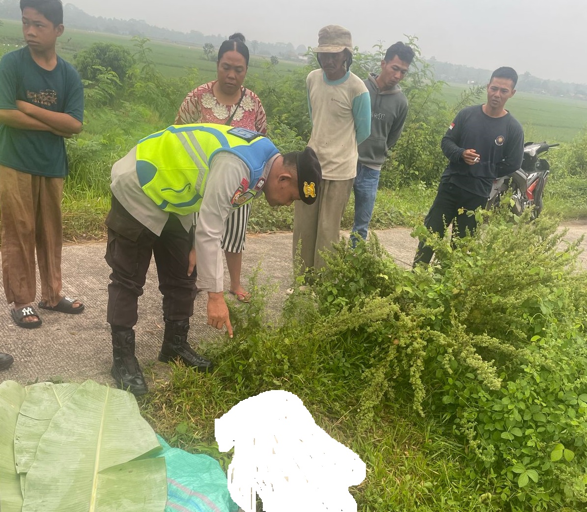 Gempar! Warga Ogan Komering Ulu Timur Temukan Jasad Perempuan Mengapung di Saluran Irigasi