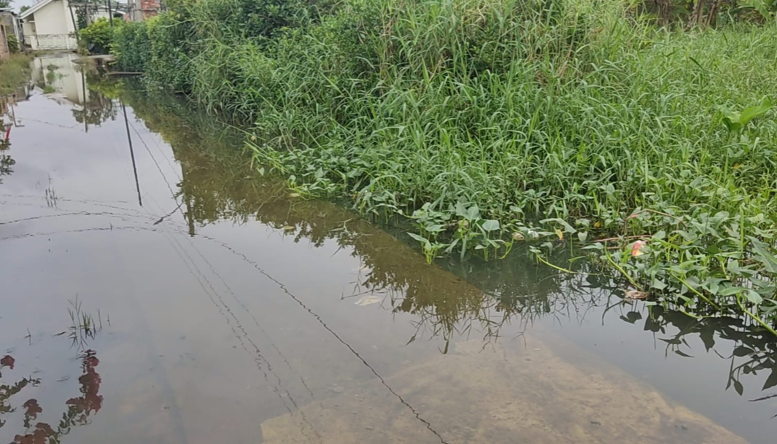 Drainase Tidak Optimal, Lorong Dimas Kampung Iklim Tergenang