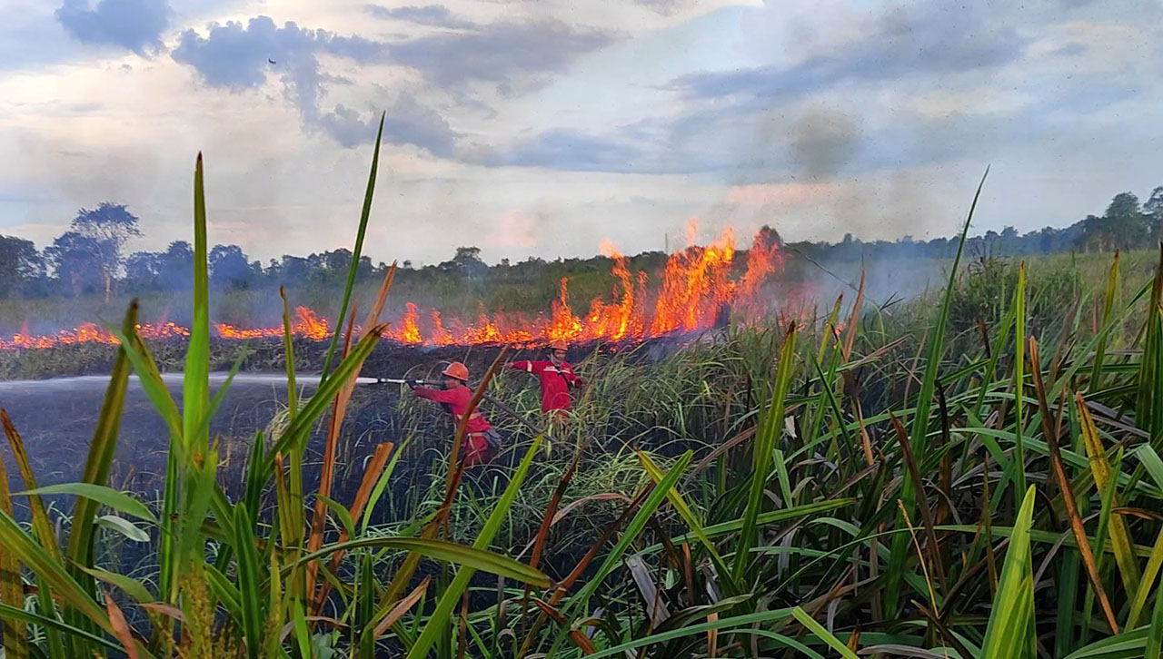 Waspada Karhutla, Lahan Gambut Jadi Perhatian Utama BPPIKHL Wilayah III Sumatera